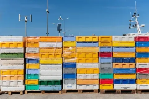 Colorful plastic crates stacked on pallets at outdoor storage yard